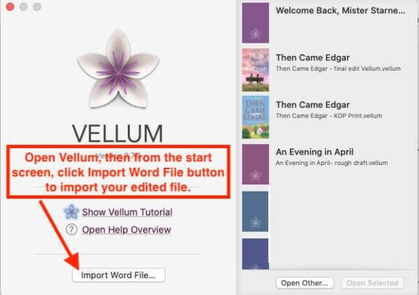 How to import MS Word file into Vellum