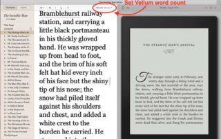 Vellum for Mac word count settings