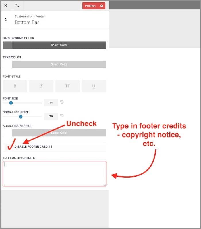 Add footer credits in WordPress customizer Divi