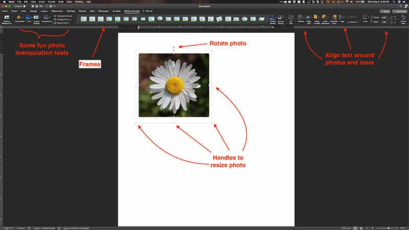 photo tools in microsoft word