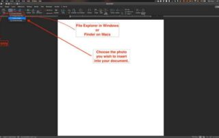 insert picture in word document