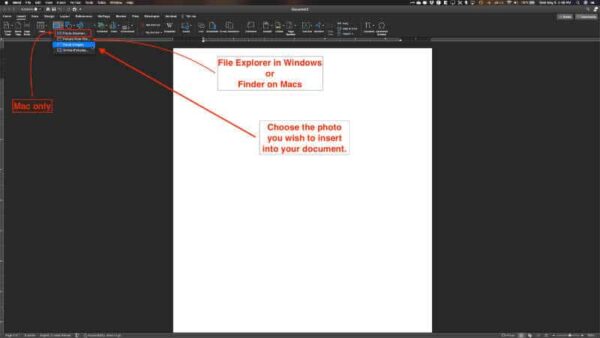 add pictures to word documents