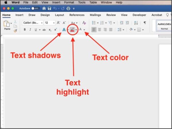 highlight text button in microsoft word