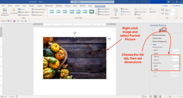 crop images in microsoft word using dimension and offset settings