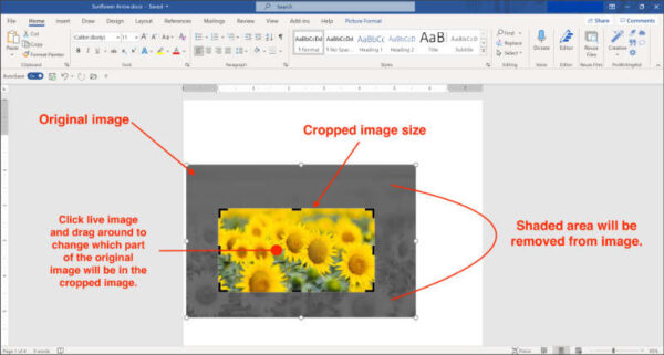 crop images in microsoft word