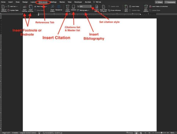 footnotes, endnotes, citations, bibliography in ms word