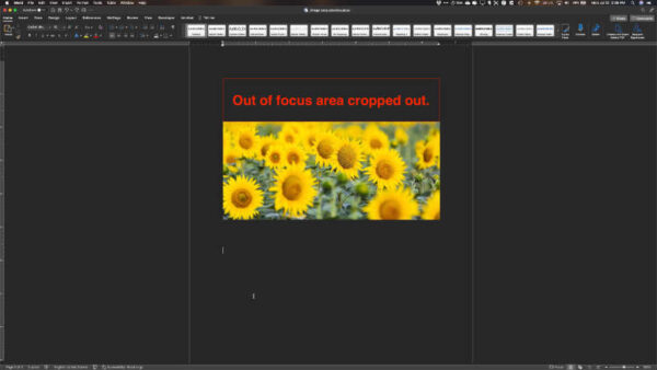 crop images in Microsoft Word