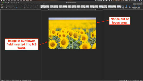 crop images in microsoft word