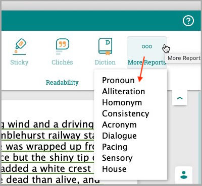 More reports in prowritingaid for ms word on macs and windows