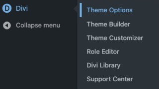 wordpress menu - divi - theme options