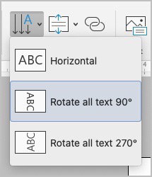 text box direction in ms word