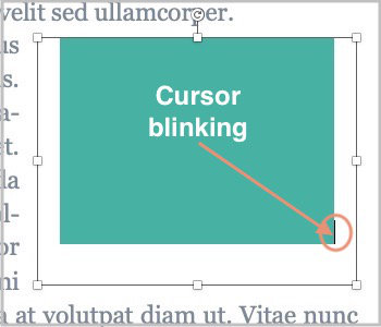 ms word text box with cursor blinking beside image
