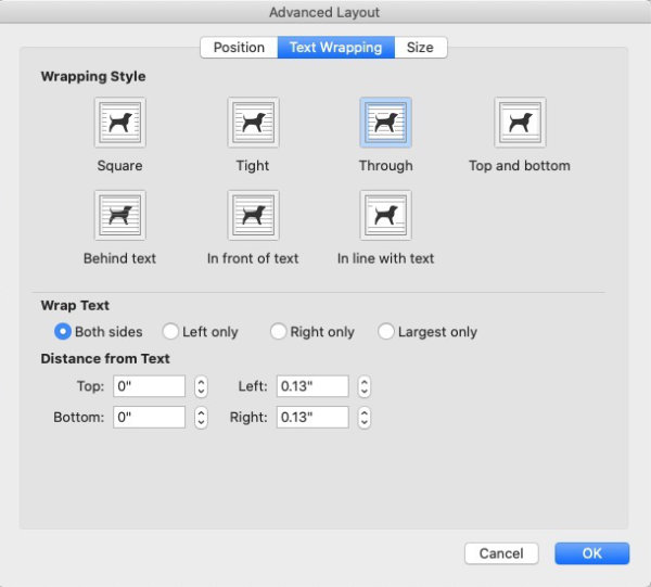 advanced layout panel for ms word text boxes