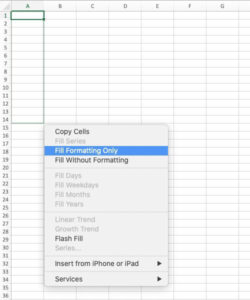 How to Copy Formatting in Excel - The Techie Senior