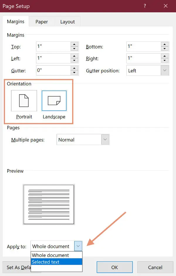 SM Word for Windows. Page options panel.