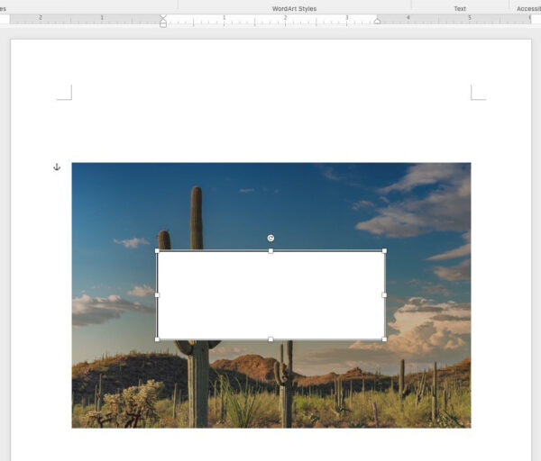 ms word text box inserted over overlay on image