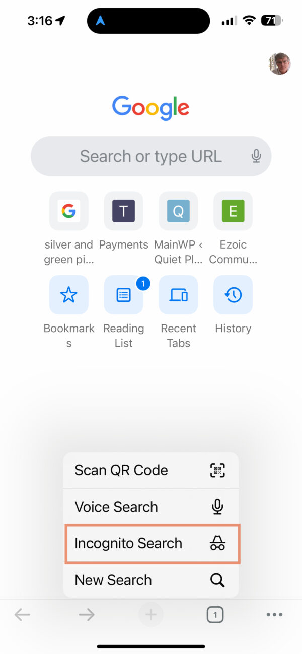 Open incognito browser windows in Google for iOS.
