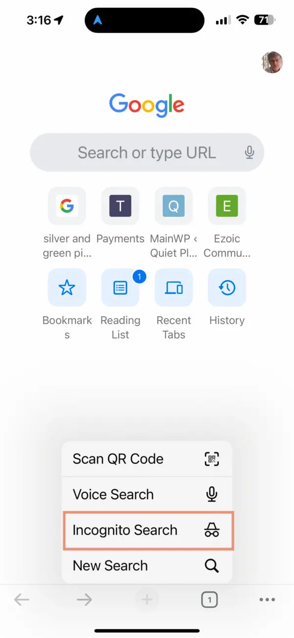 Open incognito browser windows in Google for iOS.
